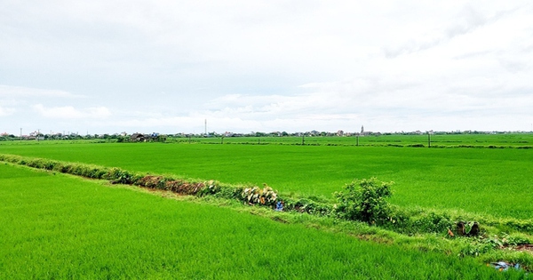 Người dân lưu ý một số điều kiện quan trọng sau đây khi muốn chuyển nhượng đất đai trong năm 2025