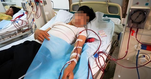 Chàng trai suy thận sau khi ăn 2 miếng rau: 2 loại rau có vị đắng phải bỏ ngay, rửa dao thớt thật kỹ