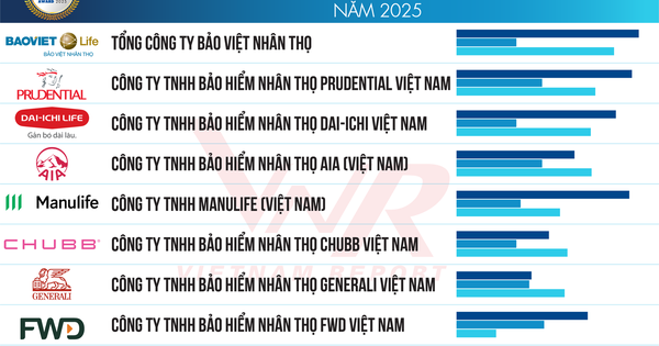 Top 10 Công ty Bảo hiểm nhân thọ uy tín năm 2025: Bảo Việt Nhân Thọ tiếp tục đứng đầu, Manulife vươn lên vị trí thứ 5