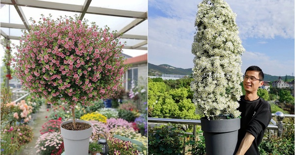 Bị chê “chỉ trồng hoa chẳng làm ăn gì”, chàng trai 9X khiến cả làng nể phục với khu vườn triệu bông