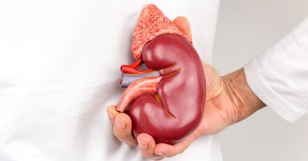 Suy thận ngày càng xuất hiện nhiều ở người trẻ: BS chỉ rõ thủ phạm hàng đầu gây bệnh