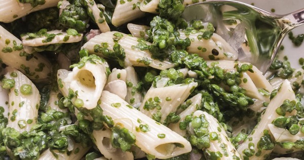 Bất ngờ với loại rau nhiều protein gấp 6 lần đậu nành: Người Việt chỉ dùng để nuôi lợn, gà