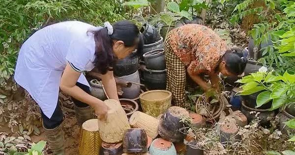 Cảnh báo nguy cơ dịch bệnh bùng phát sau mưa lũ, ngập úng