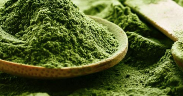 Loại rau người Việt dùng nuôi lợn, gà hóa ra có thể "giải cứu thế giới": Là "thần dược" dân gian