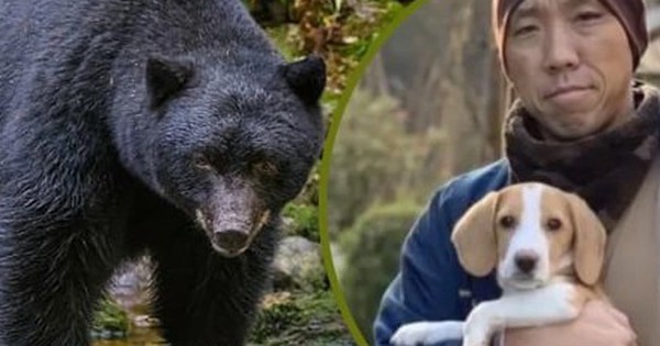 Nhà sư nhận nuôi chú chó bị bỏ rơi, sau đó được chó cứu mạng khi gặp gấu dữ