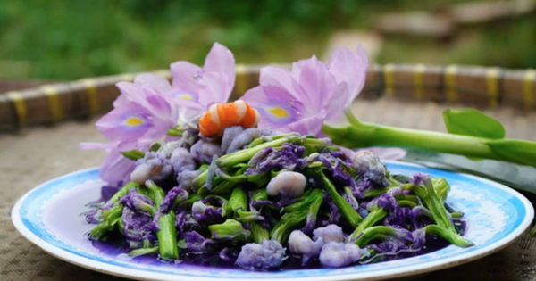 Việt Nam có loại rau dại dùng để nuôi lợn, nay thành hàng xuất khẩu top 1: Công dụng ít ai ngờ