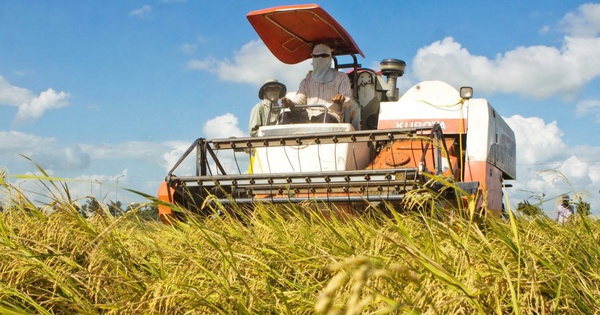 Chính thức: Hộ kinh doanh nông nghiệp có thể vay tối đa 500 triệu đồng không cần tài sản đảm bảo, hợp tác xã có thể vay tới 5 tỷ đồng