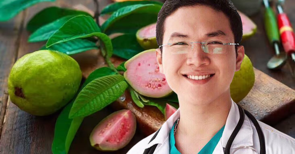 Uống nước lá ổi là khỏi bệnh đái tháo đường: BS giải thích cơ chế, nói rõ tác dụng đến đâu