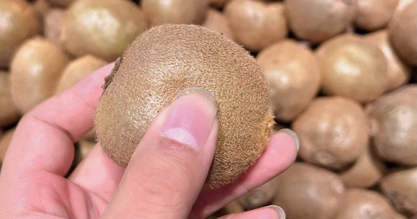 Loại quả bé xíu mệnh danh là "siêu trái cây", giàu vitamin C hơn cam, ra chợ là thấy