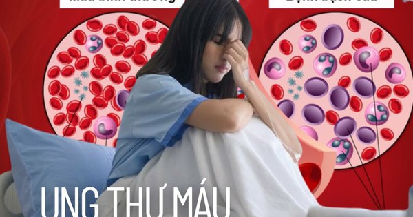 Ngày càng nhiều người bị ung thư máu: Làm thế nào để phòng bệnh?