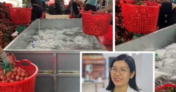 Vải thiều mới thu hoạch được ngâm nước đá, chuyên gia lý giải tác dụng