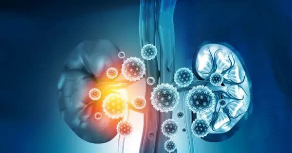 Tác động bất ngờ của vaccine COVID-19 đến chức năng thận