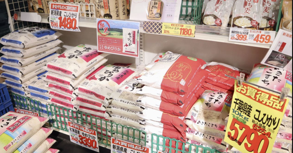 Giá gạo tăng nóng 101%, cao nhất trong hơn nửa thế kỷ, đẩy lạm phát nền kinh tế lớn thứ 4 thế giới lên mức cao nhất 2 năm