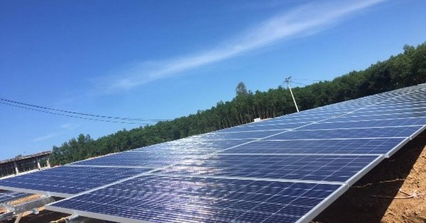 Năng lượng và Bất động sản Trường Thành bị xử phạt vì vi phạm công bố thông tin