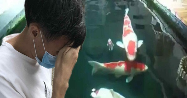 Chi tiền khủng cải tạo tầng hầm chung cư thành ao cá Koi, người đàn ông bị hàng xóm kiện ra tòa: “Anh không được làm thế”