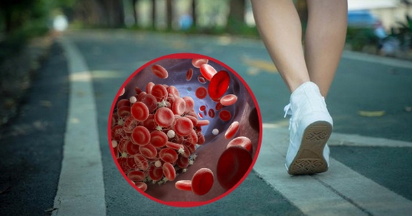 Trước khi một căn bệnh nghiêm trọng ập đến, bạn có thể nhận ra thay đổi khi đi bộ: Nếu có 4 triệu chứng này thì hãy đi khám ngay