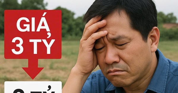 Buồn của đất vườn tỉnh: Mua lô đất gần 3 tỉ, sau 4 năm đầu tư có người vào trả 2 tỉ đồng rồi “bỏ đi”, chủ đất méo mặt