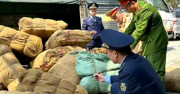 Bắt giữ hơn 122 tấn nguyên liệu thuốc lá nhập lậu, nhiều thủ đoạn tinh vi lộ diện