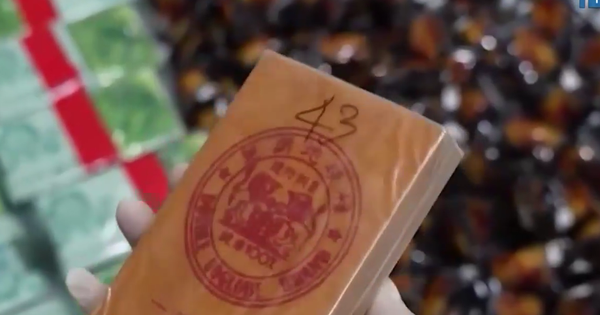 Chuyên án 4 tiếp viên hàng không xách ma túy: Bắt hơn 1.500 đối tượng, xác định giao dịch 29.000 tỷ đồng