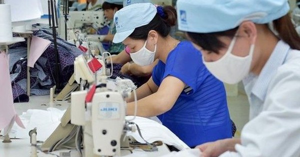 Doanh nghiệp xuất khẩu “căng sức” vì cước vận tải tăng cao