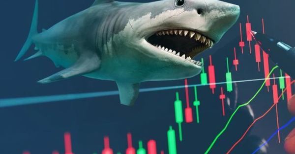 Bộ đôi cổ phiếu có thể bị 2 quỹ ETF ngoại lâu đời nhất TTCK Việt Nam bán mạnh trong đợt cơ cấu tháng 6