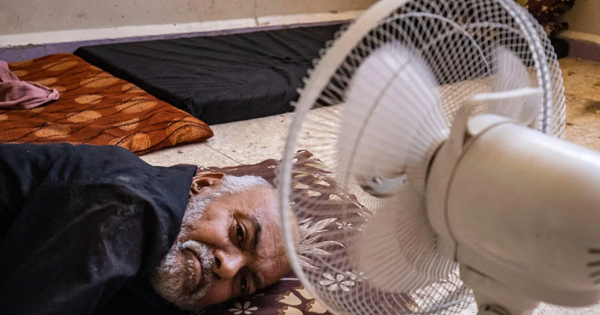 Bùng nổ tranh cãi dùng quạt điện khi trời quá nóng gây tổn thương sức khỏe