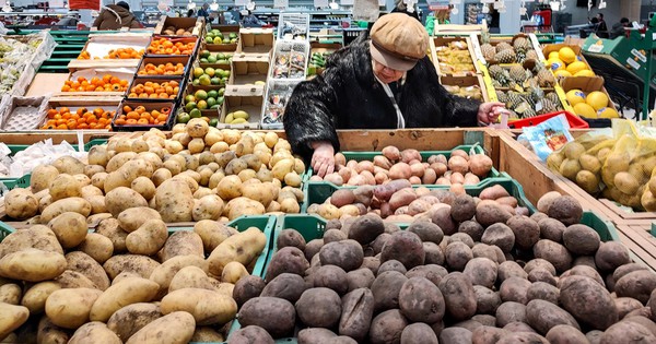 Loại củ người Nga ví như ‘vua rau củ’, giá bỗng tăng chóng mặt: Việt Nam có đầy, dùng làm thuốc từ lâu