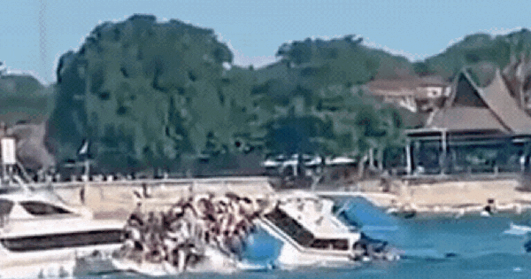 Video sốc: Khoảnh khắc tàu du lịch chở 89 khách lật giữa biển ở Bali, mọi người đập vỡ cửa sổ để thoát thân