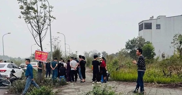 GS. Đặng Hùng Võ: Nhiều người muốn giàu nhanh chỉ có tham gia vào thị trường bất động sản