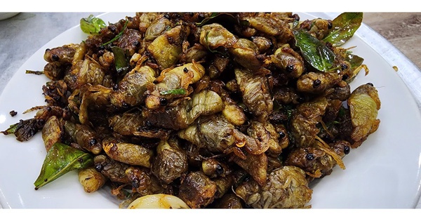 Nam thanh niên nguy kịch sau khi ăn ve sầu