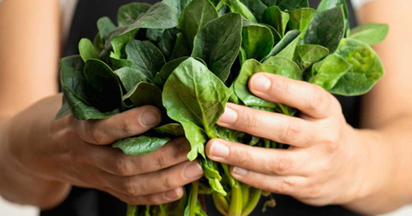 Mỹ đánh giá "rau tốt nhất thế giới", hóa ra là rau quen thuộc có bán ở Việt Nam