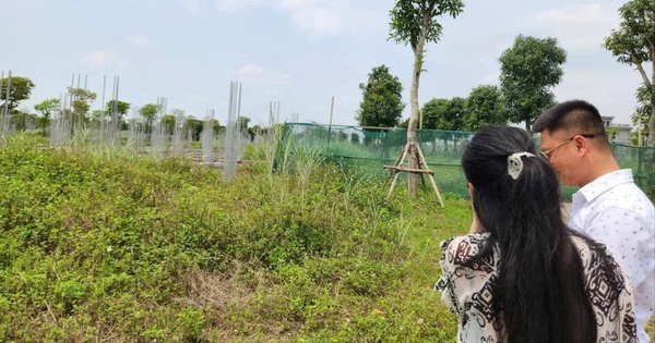 6 nguyên tắc “bỏ túi” trước khi ra quyết định mua hay bán một bất động sản