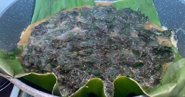 2 loại rau ít "ngậm" thuốc trừ sâu nhất chợ, nhất là cái số 1 ở quê rất nhiều