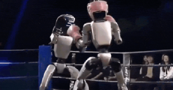 Robot hình người tỉ thí võ đài: Các kỹ thuật phức tạp như đấm móc, đá xoay và tự bật dậy được thực hiện
