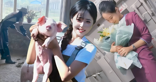 Tiếp viên hàng không nghỉ việc để làm một việc “nghe thôi đã thấy sợ”: Kiếm hơn 700 triệu trong 2 tháng