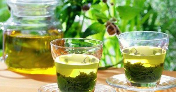 Loại lá bán đầy chợ Việt, vốn là "thức uống của...