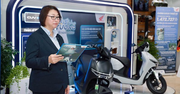 Nước cờ mới của "vua xe xăng" Việt Nam: Chỉ cho...