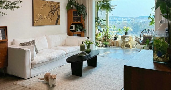 Căn hộ của nữ nhiếp ảnh gia gây sốt MXH: Cảm giác "chữa lành" quá mạnh mẽ, đẹp như poster phim