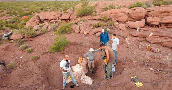Khai quật một siêu quái vật chưa từng được biết đến trên thế giới