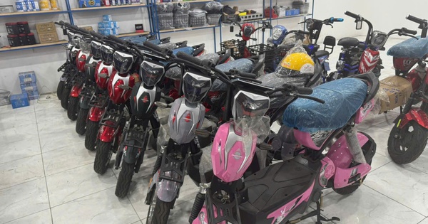 Xe máy điện giả, kém chất lượng tái xuất: Cẩn trọng trước cơn sốt chuyển đổi xe xăng