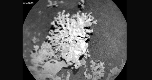 NASA phát hiện thứ giống y sinh vật Trái Đất trên Sao Hỏa