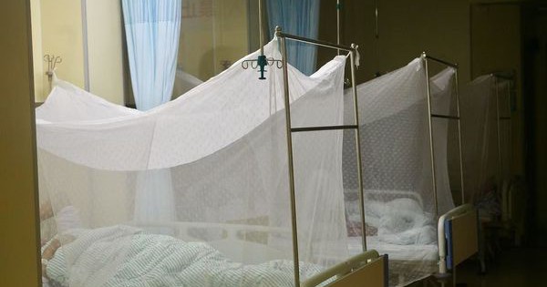 1.387 ca mắc mới virus Chikungunya được phát hiện tại Quảng Đông (Trung Quốc), chuyên gia cảnh báo nên cảnh giác