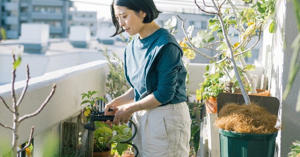 Mẹ Hà Nội chia sẻ: Sau 10 năm sống ở tầng 26, tôi chuyển xuống tầng 4 - nơi ai cũng né - và nhận ra sự khác biệt là rất lớn