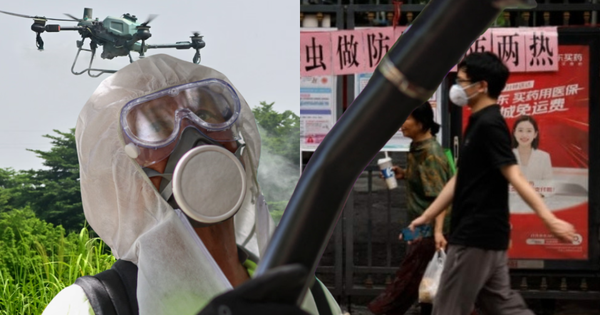 Toàn cảnh dịch sốt Chikungunya lan nhanh trên toàn thế giới: 240.000 ca mắc, 90 người tử vong; WHO ban hành cảnh báo