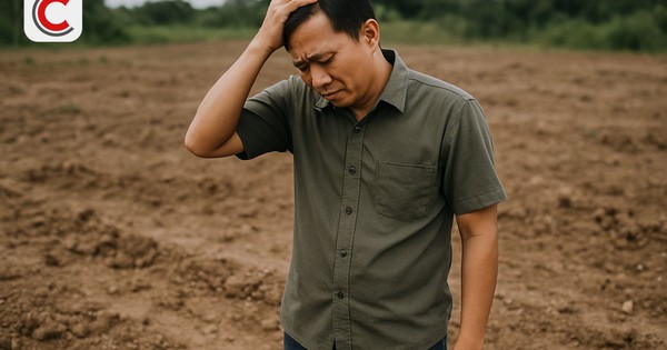 Đất chuyển nhượng từ năm 2000, đã bị mất giấy mua bán viết tay, xin cấp quyền sử dụng đất thế nào?