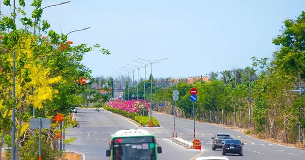 Người dân Cần Giờ, Côn Đảo được ưu đãi gì khi chuyển sang xe điện?