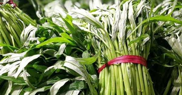3 loại rau "ngậm thuốc trừ sâu" nhiều nhất chợ, người bán cũng không dám ăn