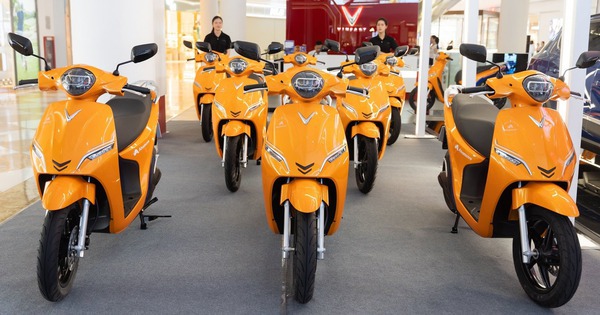 VinFast, Selex, Dat Bike, Yadea, Pega... đang làm gì với xe máy điện trong cuộc chạy đua logistics xanh?