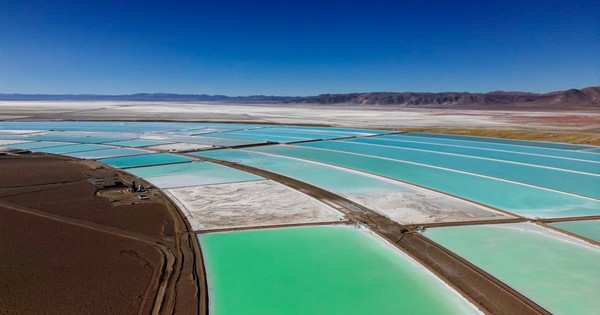 Trung Quốc ra động thái bất ngờ, thị trường ‘vàng trắng’ bùng nổ, giá tăng dựng đứng