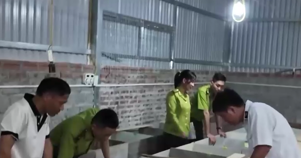 Làm giàu từ nuôi động vật hoang dã: Lợi nhuận cao, rủi ro dịch bệnh rình rập